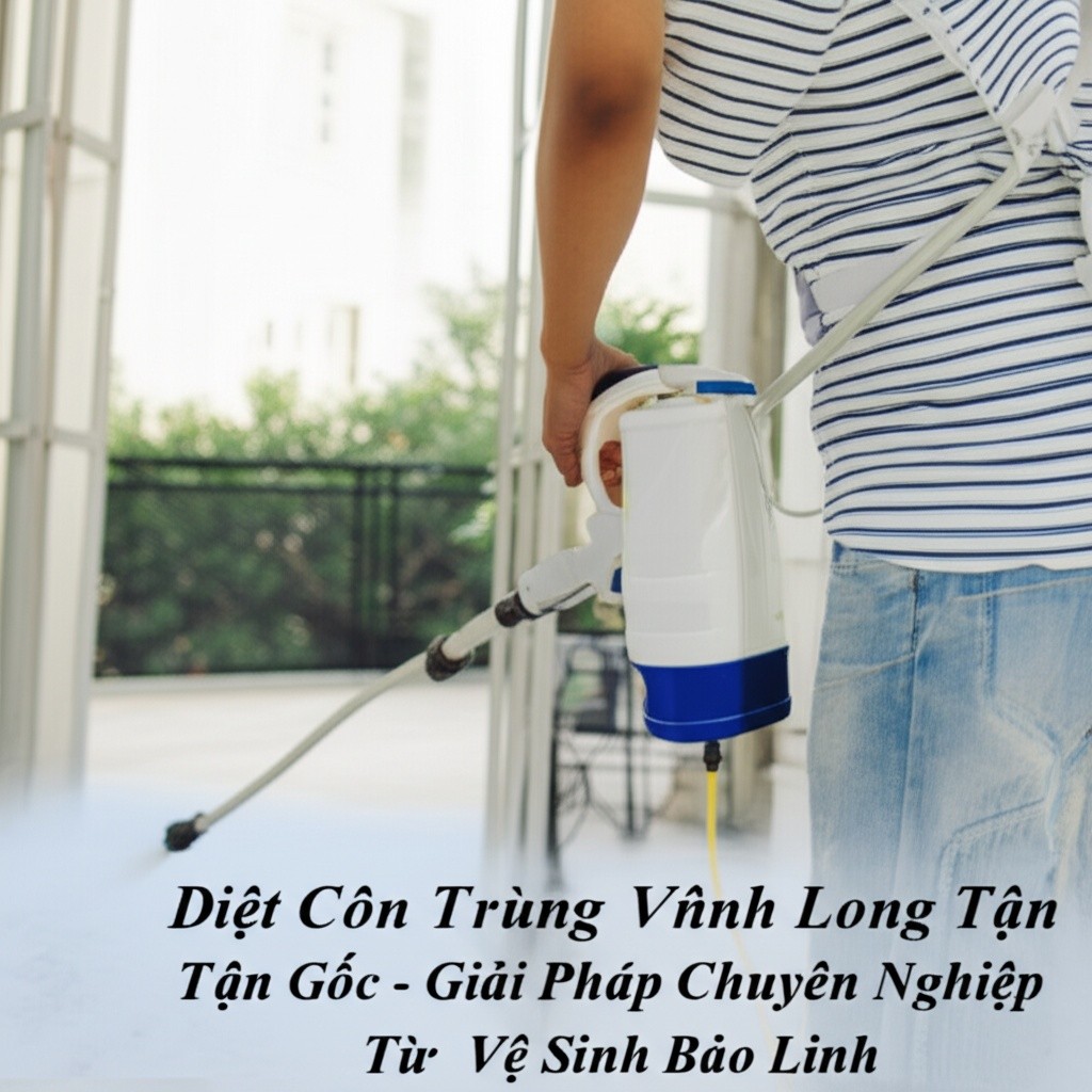 Hình minh họa cho bài viết: Diệt Côn Trùng Vĩnh Long Tận Gốc - Giải Pháp Chuyên Nghiệp Từ Vệ Sinh Bảo Linh