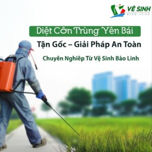 Diệt Côn Trùng Yên Bái Tận Gốc – Giải Pháp An Toàn, Chuyên Nghiệp Từ Vệ Sinh Bảo Linh