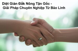 Diệt Gián Đắk Nông Tận Gốc – Giải Pháp Chuyên Nghiệp Từ Bảo Linh