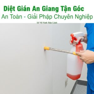 Diệt Gián An Giang Tận Gốc, An Toàn – Giải Pháp Chuyên Nghiệp từ Vệ Sinh Bảo Linh