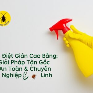 Diệt Gián Cao Bằng: Giải Pháp Tận Gốc, An Toàn & Chuyên Nghiệp | Bảo Linh