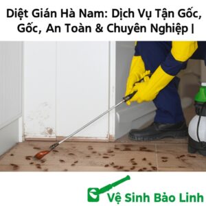Diệt Gián Hà Nam: Dịch Vụ Tận Gốc, An Toàn & Chuyên Nghiệp | Vệ Sinh Bảo Linh