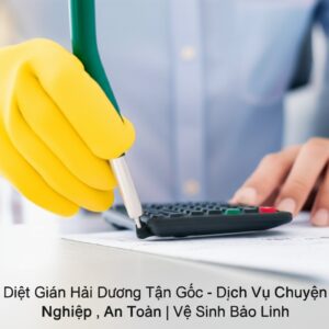 Diệt Gián Hải Dương Tận Gốc – Dịch Vụ Chuyên Nghiệp, An Toàn | Vệ Sinh Bảo Linh