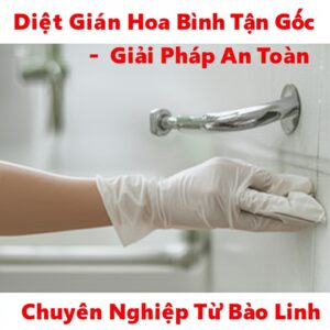 Diệt Gián Hòa Bình Tận Gốc – Giải Pháp An Toàn, Chuyên Nghiệp Từ Bảo Linh