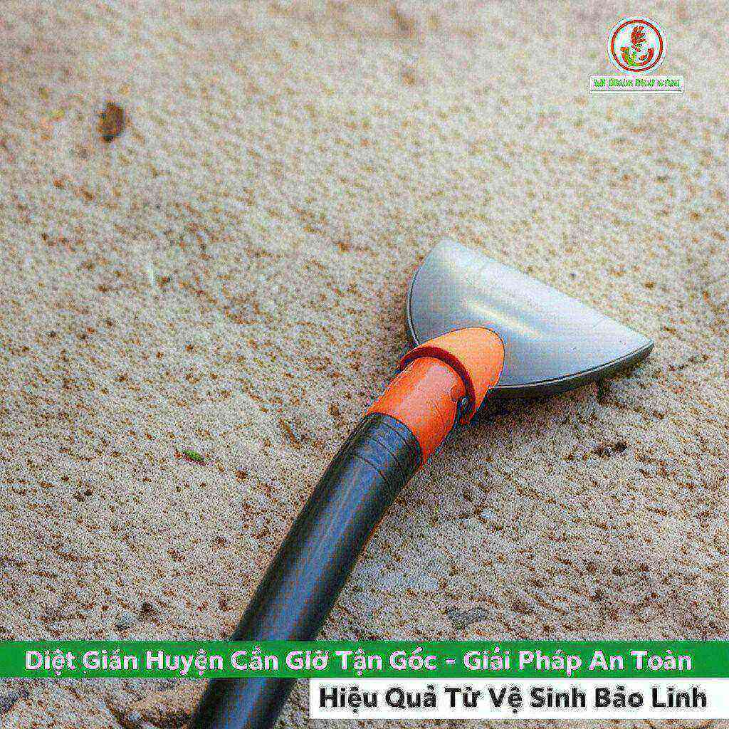 Hình minh họa cho bài viết: Diệt Gián Huyện Cần Giờ Tận Gốc - Giải Pháp An Toàn, Hiệu Quả Từ Vệ Sinh Bảo Linh