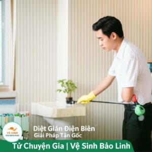 Diệt Gián Điện Biên – Giải Pháp Tận Gốc, An Toàn Từ Chuyên Gia | Vệ Sinh Bảo Linh