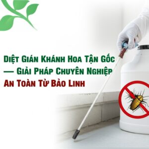 Diệt Gián Khánh Hòa Tận Gốc – Giải Pháp Chuyên Nghiệp, An Toàn Từ Bảo Linh