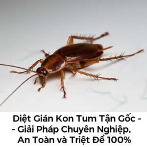 Diệt Gián Kon Tum Tận Gốc – Giải Pháp Chuyên Nghiệp, An Toàn và Triệt Để 100%