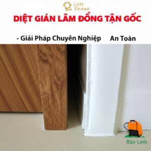 Diệt Gián Lâm Đồng Tận Gốc – Giải Pháp Chuyên Nghiệp, An Toàn Từ Bảo Linh