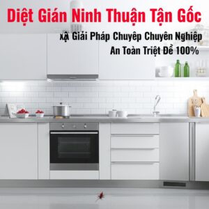Diệt Gián Ninh Thuận Tận Gốc – Giải Pháp Chuyên Nghiệp, An Toàn Triệt Để 100%