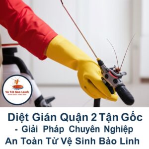 Diệt Gián Quận 2 Tận Gốc – Giải Pháp Chuyên Nghiệp, An Toàn Từ Vệ Sinh Bảo Linh