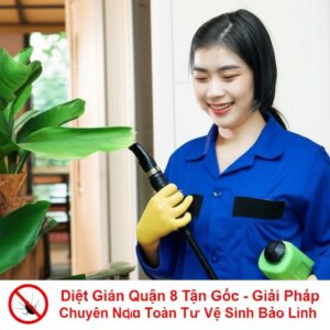 Diệt Gián Quận 8 Tận Gốc – Giải Pháp Chuyên Nghiệp, An Toàn Từ Vệ Sinh Bảo Linh