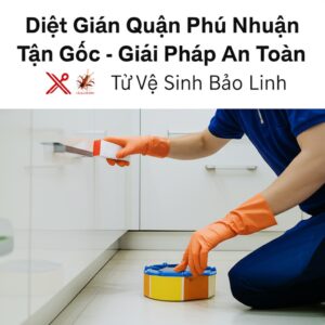 Diệt Gián Quận Phú Nhuận Tận Gốc – Giải Pháp An Toàn, Hiệu Quả Từ Vệ Sinh Bảo Linh
