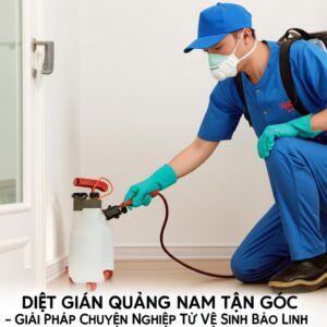 Diệt Gián Quảng Nam Tận Gốc – Giải Pháp Chuyên Nghiệp Từ Vệ Sinh Bảo Linh