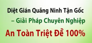 Diệt Gián Quảng Ninh Tận Gốc – Giải Pháp Chuyên Nghiệp, An Toàn Triệt Để 100%