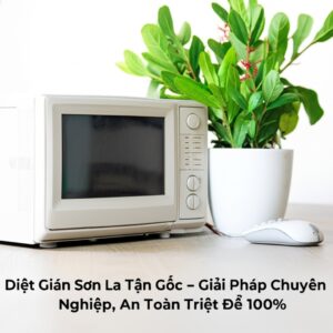 Diệt Gián Sơn La Tận Gốc – Giải Pháp Chuyên Nghiệp, An Toàn Triệt Để 100%