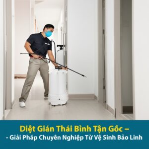 Diệt Gián Thái Bình Tận Gốc – Giải Pháp Chuyên Nghiệp Từ Vệ Sinh Bảo Linh