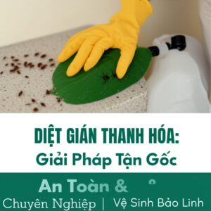 Diệt Gián Thanh Hóa: Giải Pháp Tận Gốc, An Toàn & Chuyên Nghiệp | Vệ Sinh Bảo Linh