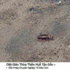 Diệt Gián Thừa Thiên Huế Tận Gốc – Giải Pháp Chuyên Nghiệp Từ Bảo Linh