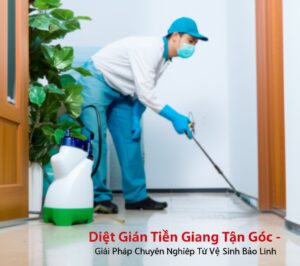 Diệt Gián Tiền Giang Tận Gốc – Giải Pháp Chuyên Nghiệp Từ Vệ Sinh Bảo Linh