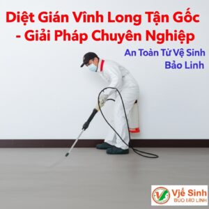 Diệt Gián Vĩnh Long Tận Gốc – Giải Pháp Chuyên Nghiệp, An Toàn Từ Vệ Sinh Bảo Linh