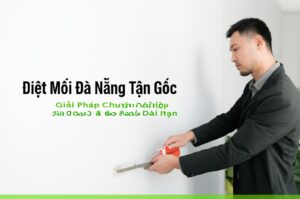 Diệt Mối Đà Nẵng Tận Gốc: Giải Pháp Chuyên Nghiệp, An Toàn & Bảo Hành Dài Hạn