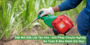 Diệt Mối Đắk Lắk Tận Gốc – Giải Pháp Chuyên Nghiệp, An Toàn & Bảo Hành Dài Hạn