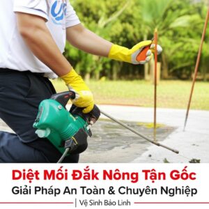 Diệt Mối Đắk Nông Tận Gốc: Giải Pháp An Toàn & Chuyên Nghiệp | Vệ Sinh Bảo Linh