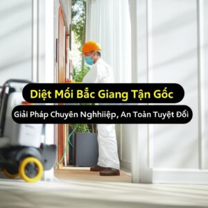 Diệt Mối Bắc Giang Tận Gốc – Giải Pháp Chuyên Nghiệp, An Toàn Tuyệt Đối
