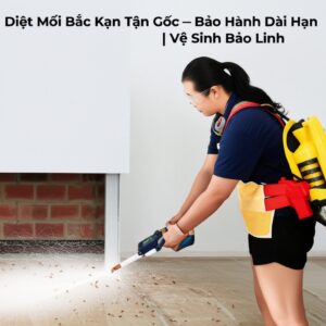 Diệt Mối Bắc Kạn Tận Gốc – Bảo Hành Dài Hạn | Vệ Sinh Bảo Linh