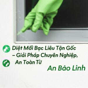 Diệt Mối Bạc Liêu Tận Gốc – Giải Pháp Chuyên Nghiệp, An Toàn Từ Bảo Linh