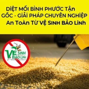 Diệt Mối Bình Phước Tận Gốc – Giải Pháp Chuyên Nghiệp, An Toàn Từ Vệ Sinh Bảo Linh