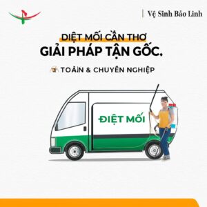 Diệt Mối Cần Thơ: Giải Pháp Tận Gốc, An Toàn & Chuyên Nghiệp | Vệ Sinh Bảo Linh