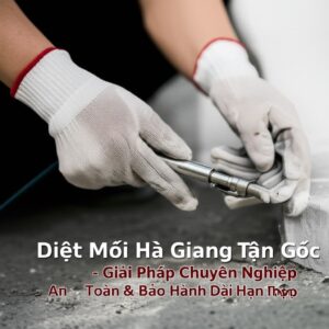 Diệt Mối Hà Giang Tận Gốc – Giải Pháp Chuyên Nghiệp, An Toàn & Bảo Hành Dài Hạn