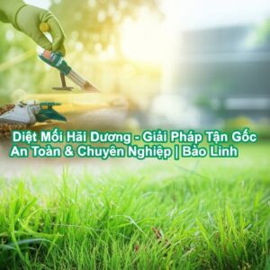 Diệt Mối Hải Dương – Giải Pháp Tận Gốc, An Toàn & Chuyên Nghiệp | Bảo Linh