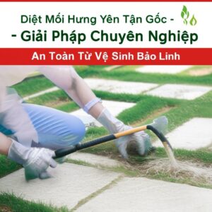 Diệt Mối Hưng Yên Tận Gốc – Giải Pháp Chuyên Nghiệp, An Toàn Từ Vệ Sinh Bảo Linh