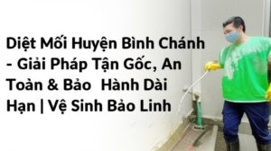 Diệt Mối Huyện Bình Chánh – Giải Pháp Tận Gốc, An Toàn & Bảo Hành Dài Hạn | Vệ Sinh Bảo Linh