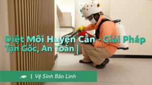 Diệt Mối Huyện Cần Giờ – Giải Pháp Tận Gốc, An Toàn | Vệ Sinh Bảo Linh
