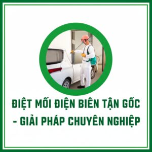 Diệt Mối Điện Biên Tận Gốc – Giải Pháp Chuyên Nghiệp Từ Vệ Sinh Bảo Linh