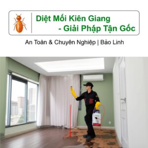 Diệt Mối Kiên Giang – Giải Pháp Tận Gốc, An Toàn & Chuyên Nghiệp | Bảo Linh