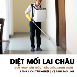 Diệt Mối Lai Châu: Giải Pháp Tận Gốc, An Toàn & Chuyên Nghiệp | Vệ Sinh Bảo Linh