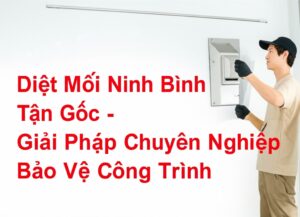 Diệt Mối Ninh Bình Tận Gốc – Giải Pháp Chuyên Nghiệp Bảo Vệ Công Trình