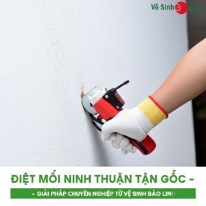 Diệt Mối Ninh Thuận Tận Gốc – Giải Pháp Chuyên Nghiệp Từ Vệ Sinh Bảo Linh