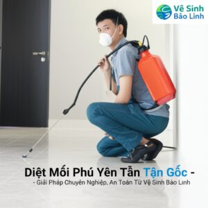 Diệt Mối Phú Yên Tận Gốc – Giải Pháp Chuyên Nghiệp, An Toàn Từ Vệ Sinh Bảo Linh