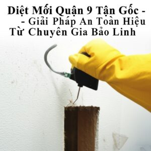 Diệt Mối Quận 9 Tận Gốc – Giải Pháp An Toàn, Hiệu Quả Từ Chuyên Gia Bảo Linh
