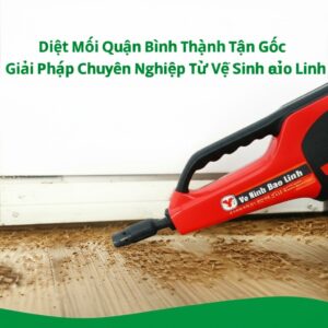 Diệt Mối Quận Bình Thạnh Tận Gốc – Giải Pháp Chuyên Nghiệp Từ Vệ Sinh Bảo Linh