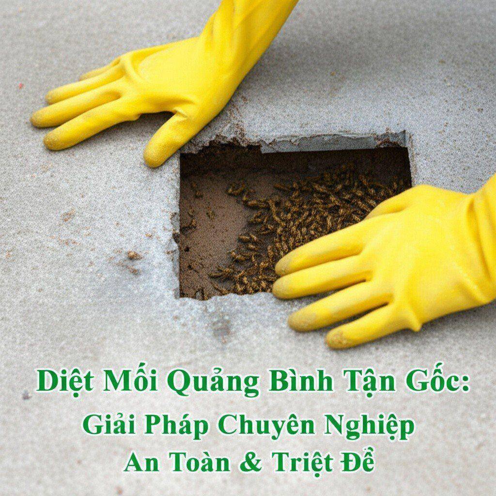 Hình minh họa cho bài viết: Diệt Mối Quảng Bình Tận Gốc: Giải Pháp Chuyên Nghiệp, An Toàn & Triệt Để