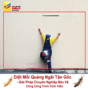Diệt Mối Quảng Ngãi Tận Gốc – Giải Pháp Chuyên Nghiệp Bảo Vệ Công Trình Vĩnh Viễn