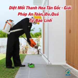 Diệt Mối Thanh Hóa Tận Gốc – Giải Pháp An Toàn, Hiệu Quả Từ Bảo Linh