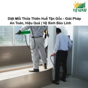 Diệt Mối Thừa Thiên Huế Tận Gốc – Giải Pháp An Toàn, Hiệu Quả | Vệ Sinh Bảo Linh